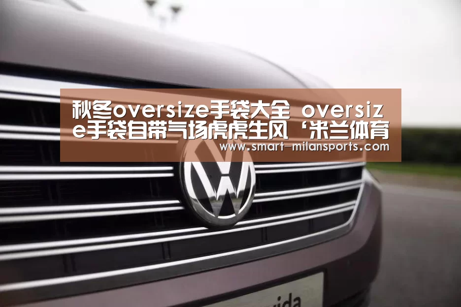 秋冬oversize手袋大全 oversize手袋自带气场虎虎生风‘米兰体育app下载’(图4) 米兰体育app下载
